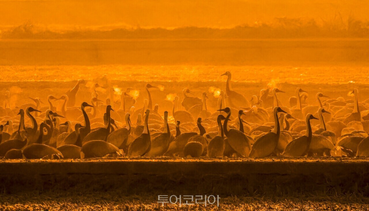 창원 주남저수지 /사진-창원시