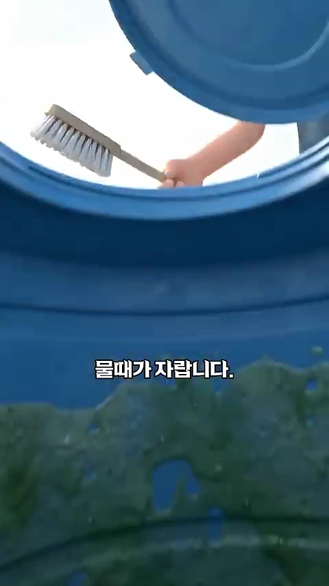 푸른색 원통형 물탱크 내부를 위에서 내려다본 모습으로, 사람이 솔을 들고 물탱크 벽면을 청소하려는 장면이 담겨 있습니다.
