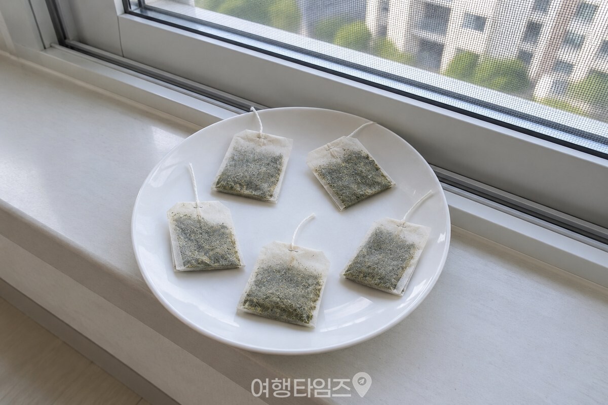 베란다 창가의 평평한 흰 접시 위에 서로 닿지 않게 펼쳐 말리는 녹차 티백들. / 기사 이해를 돕기 위한 생성형 이미지