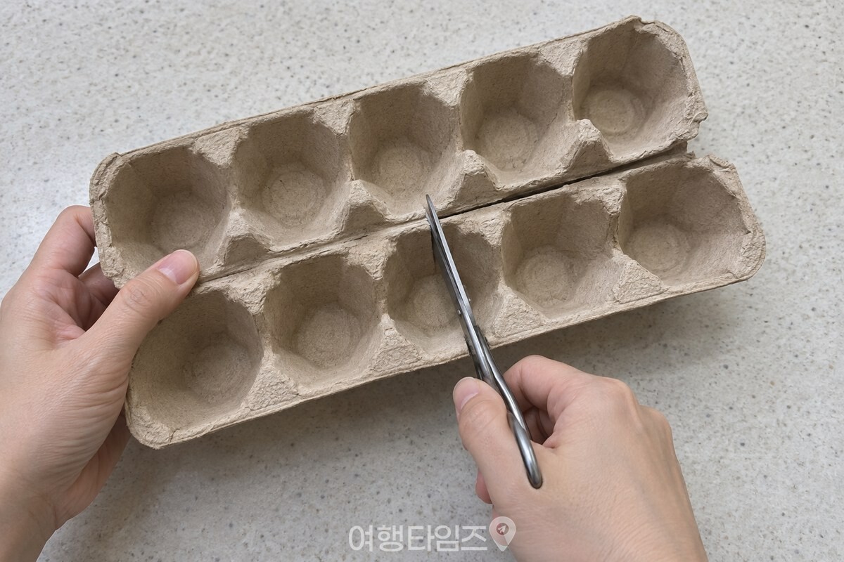 깨끗한 주방 상판에서 종이 계란판의 한 줄을 가위로 잘라 내는 모습. / 기사 이해를 돕기 위한 생성형 이미지