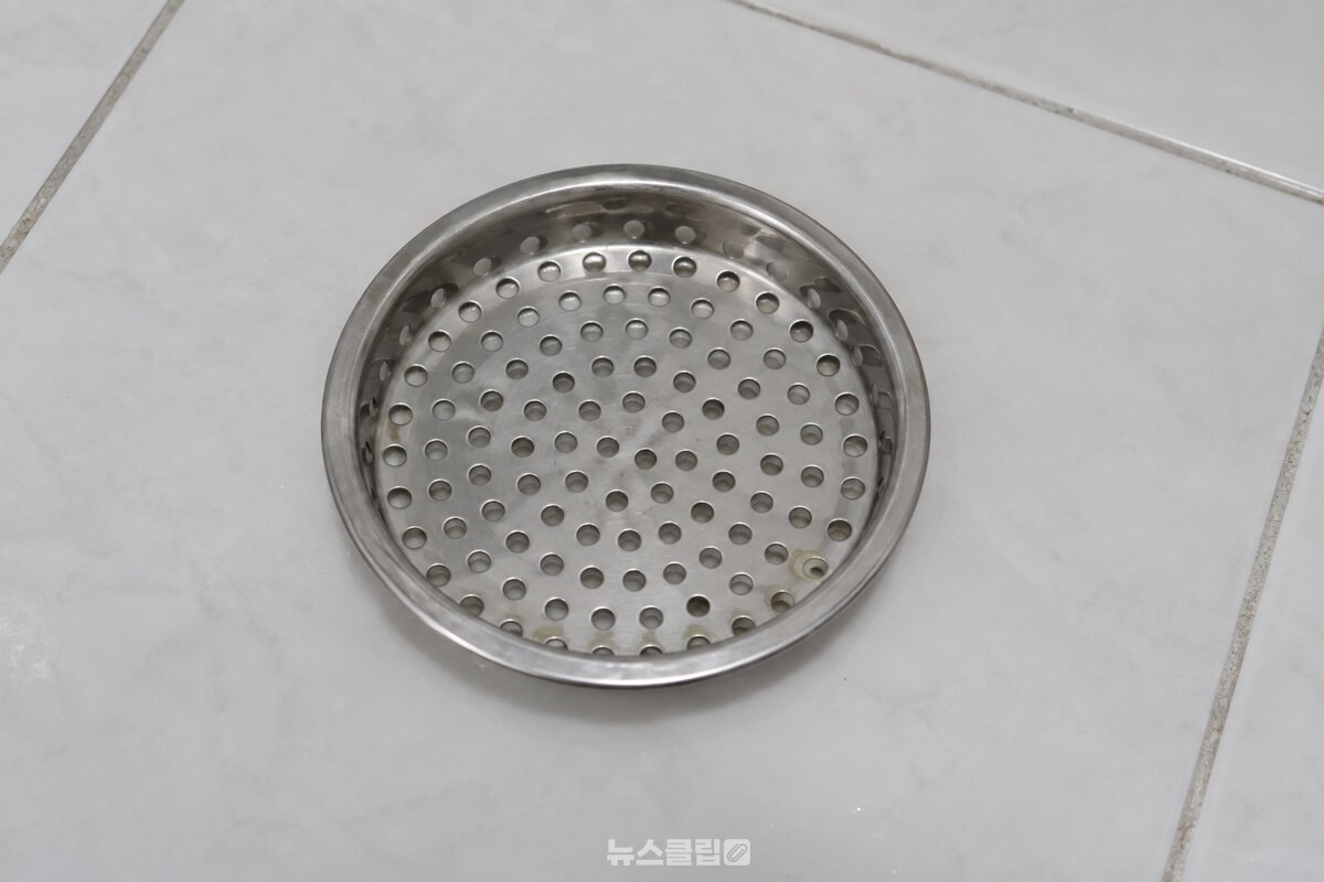 욕실 바닥 배수구에서 꺼낸 거름망의 구멍 가장자리에만 옅은 막이 보인다. / 기사 이해를 돕기 위한 생성형 이미지