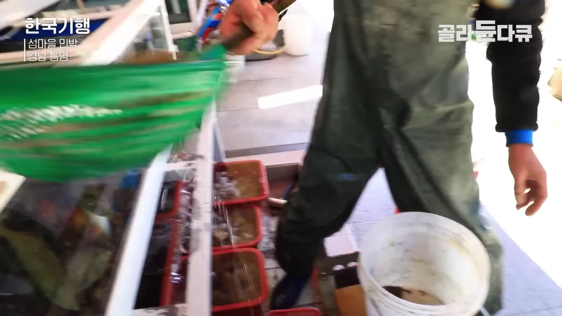 장화를 신은 사람이 초록색 그물망을 사용하여 수조에서 물고기를 건져내고 있는 모습입니다.