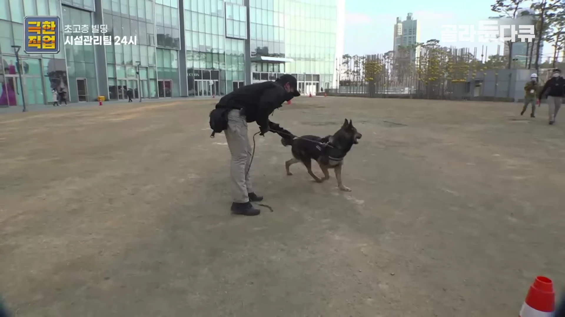 검은색 제복을 입은 요원이 하네스를 착용한 탐지견의 리드줄을 잡고 야외 광장을 걷고 있는 모습