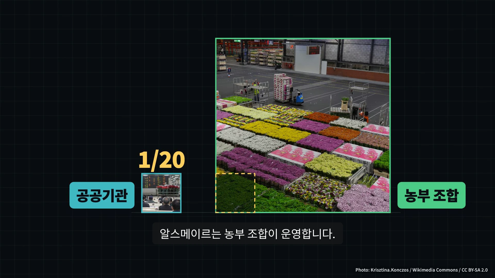 꽃들이 가득 쌓인 넓은 경매장 창고 모습과 '1/20', '공공기관', '농부 조합'이라는 글자가 적힌 화면 구성.