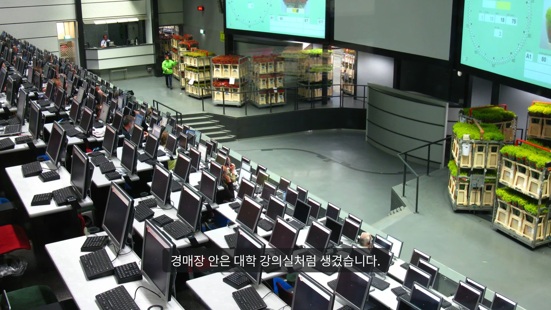 네덜란드 알스메이르 꽃 경매장의 계단식 좌석에 수많은 컴퓨터가 배치되어 있고, 벽면에는 실시간 거래 가격을 보여주는 대형 경매 시계 화면이 떠 있으며, 아래쪽 바닥에는 꽃이 담긴 이동식 카트들이 정렬되어 있다.