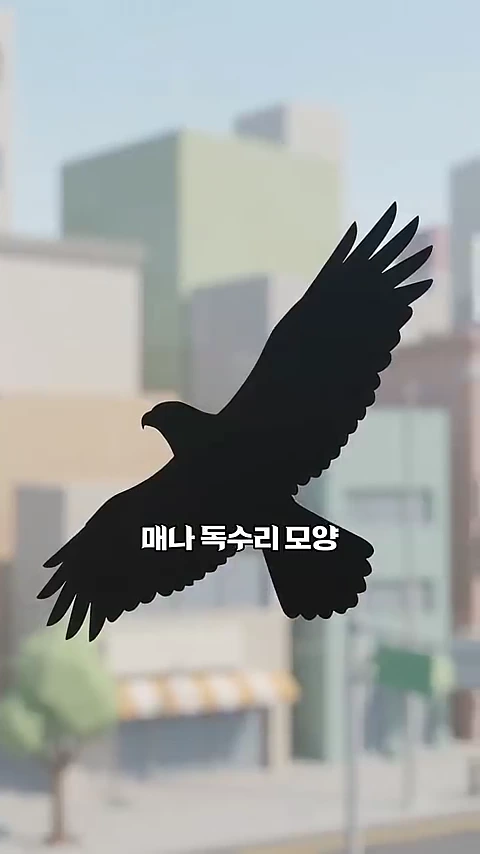 투명한 유리에 붙여진 매 혹은 독수리 형상의 검은색 실루엣 스티커.