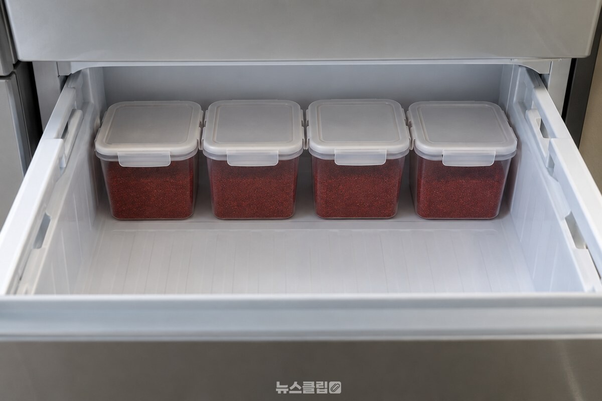 고춧가루를 1~2주분씩 담은 작은 밀폐용기 여러 개를 냉동실 안쪽 선반에 모아 둔 모습. / 기사 이해를 돕기 위한 생성형 이미지