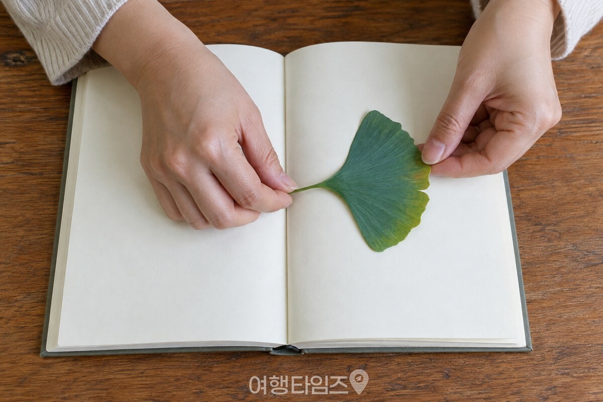 책등 쪽으로 잎자루를 향하게 놓고 은행잎 한 장을 책 가운데에 끼우는 모습. / 기사 이해를 돕기 위한 생성형 이미지