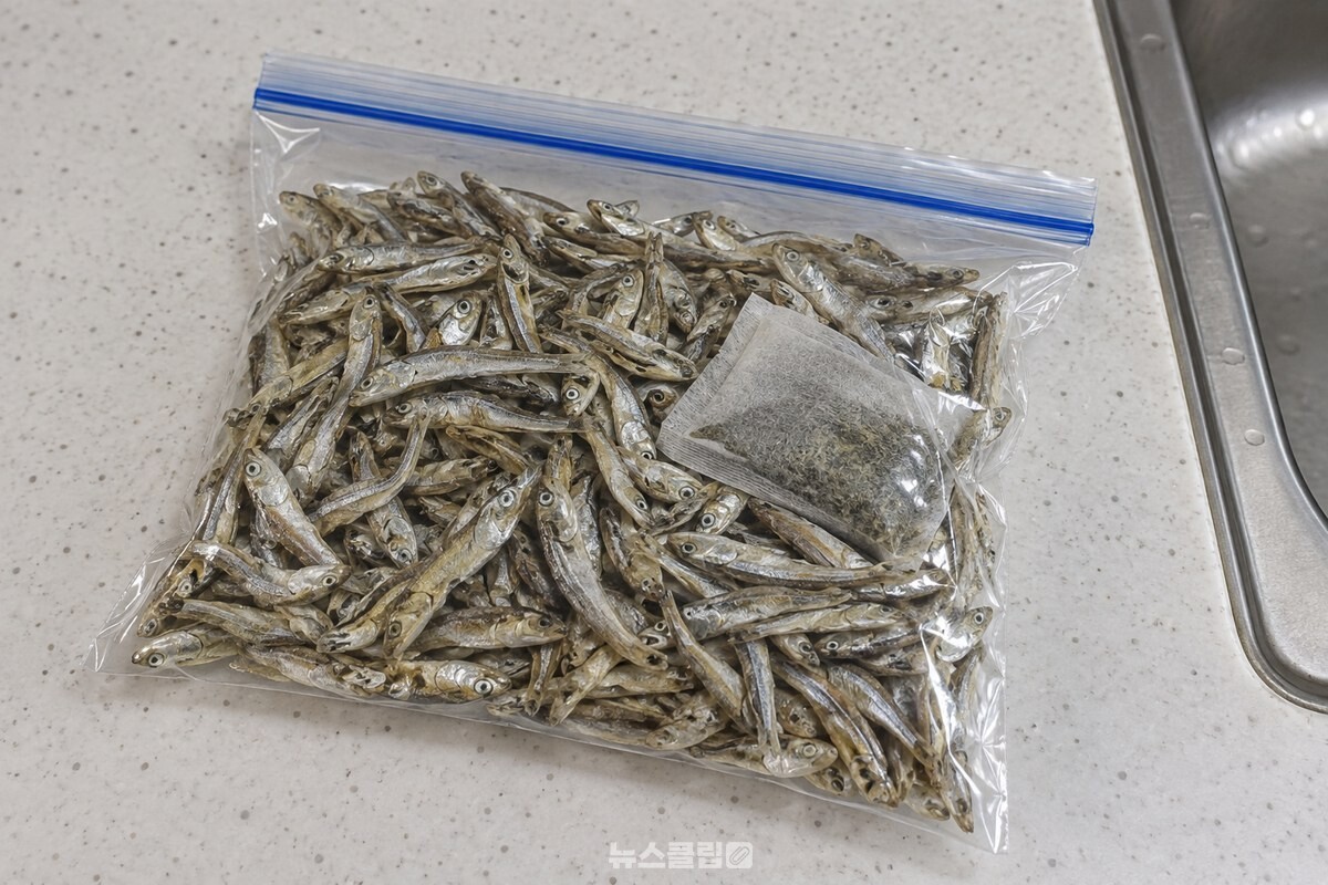 공기를 뺀 지퍼백 안쪽에 마른 녹차 티백을 함께 넣어 둔 잔멸치 보관 모습. / 기사 이해를 돕기 위한 생성형 이미지