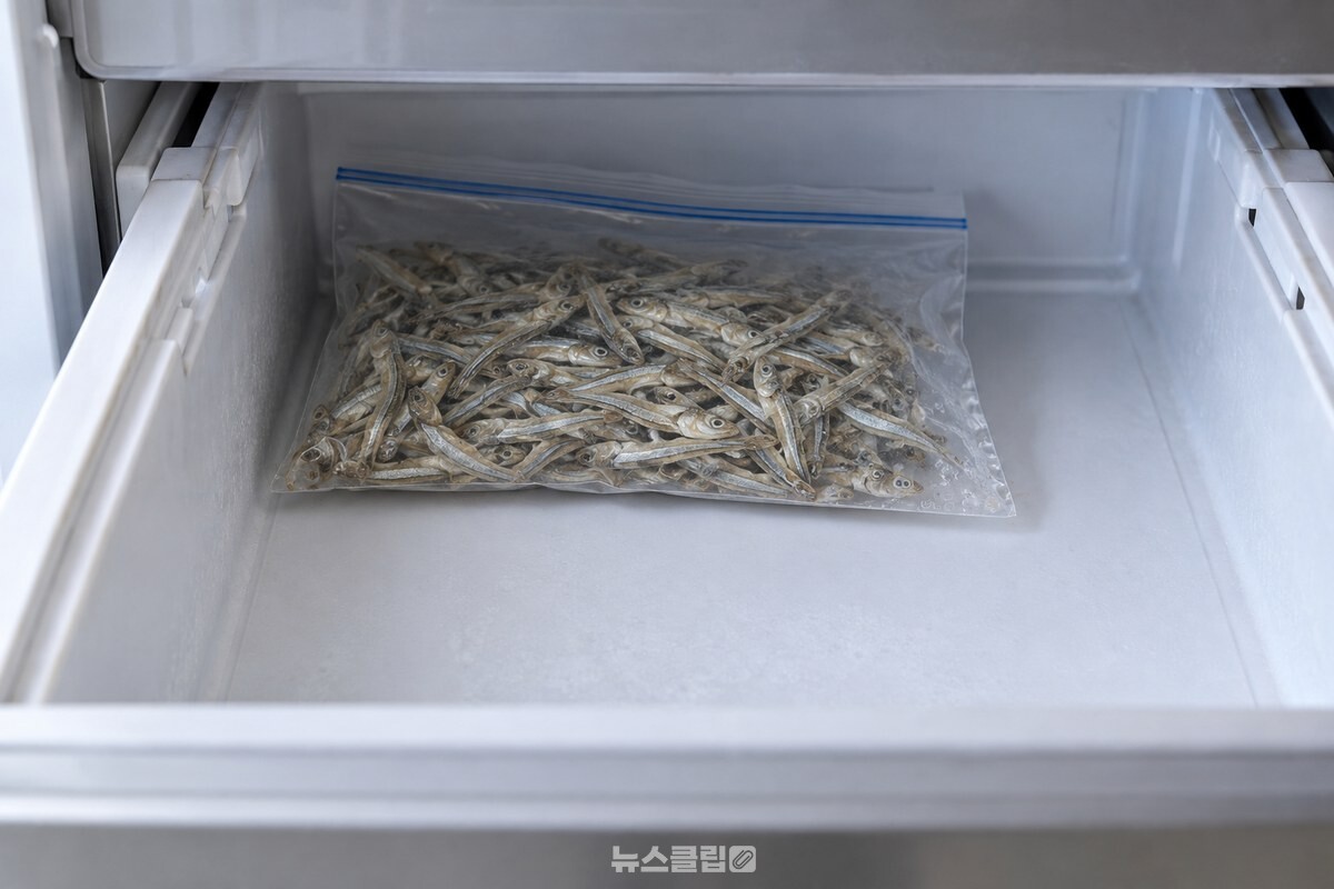 냉동실 안쪽에 놓인 건어물 지퍼백 표면에 작은 물방울이 맺힌 모습. / 기사 이해를 돕기 위한 생성형 이미지