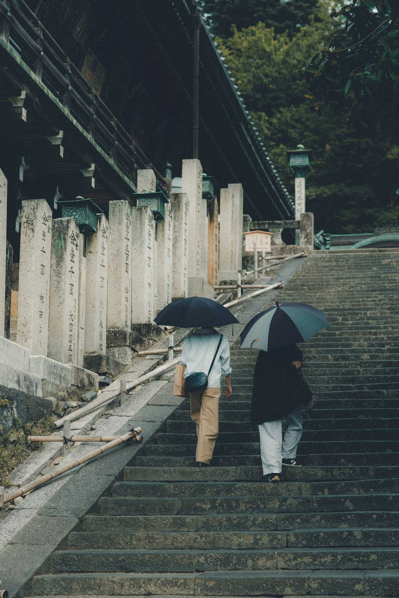 이미 일본이라면? / 사진=unspalsh