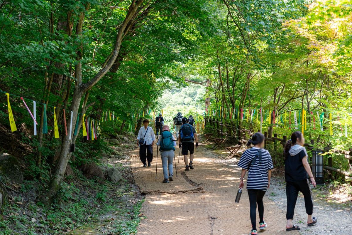 무릉계곡 / 한국관광공사-김경기