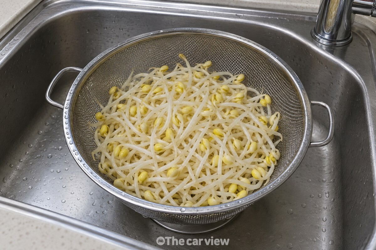 깨끗이 헹군 콩나물을 체에 밭쳐 물기를 빼고 있다. / 기사 이해를 돕기 위한 생성형 이미지