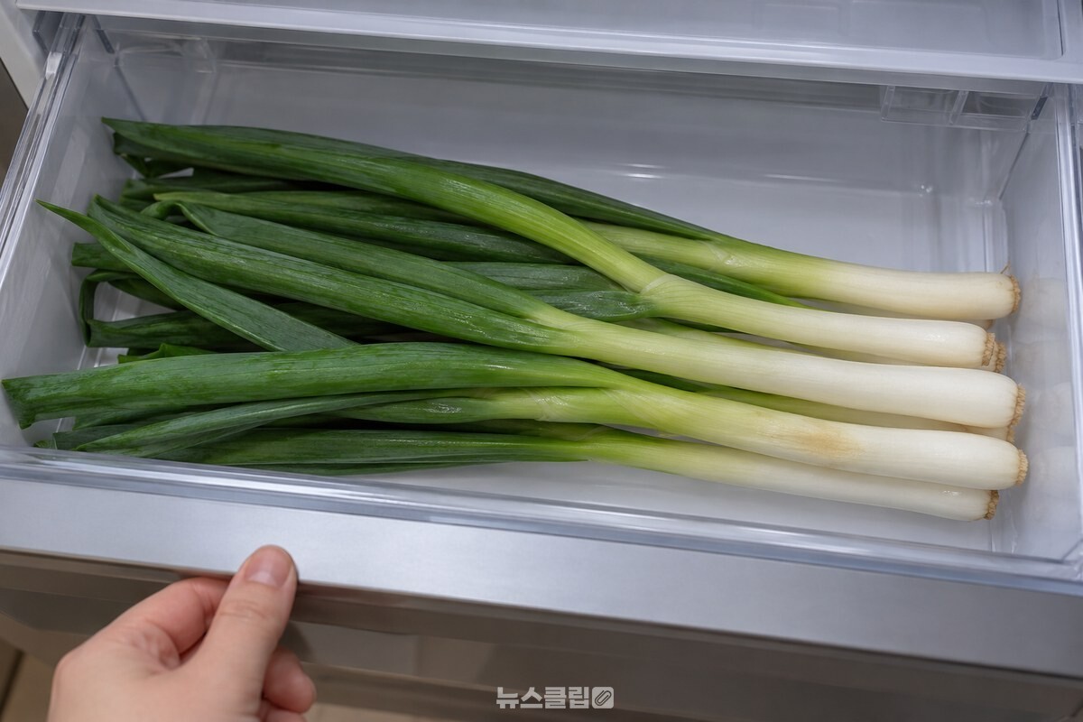 냉장고 야채칸에 비닐 없이 눕혀 놓인 대파의 흰 부분 한쪽에만 옅은 눌림이 보이는 모습. / 기사 이해를 돕기 위한 생성형 이미지