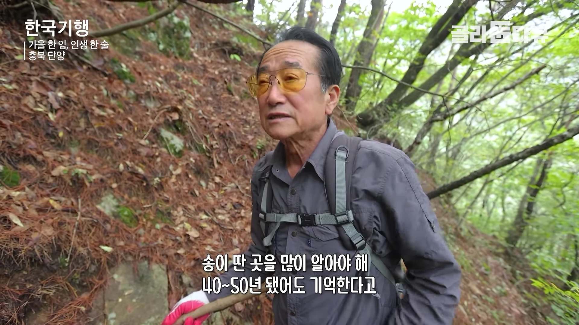 등산복 차림의 중년 남성이 숲속 경사진 산길을 걸으며 인터뷰하는 모습이 담긴 영상 캡처 화면입니다.