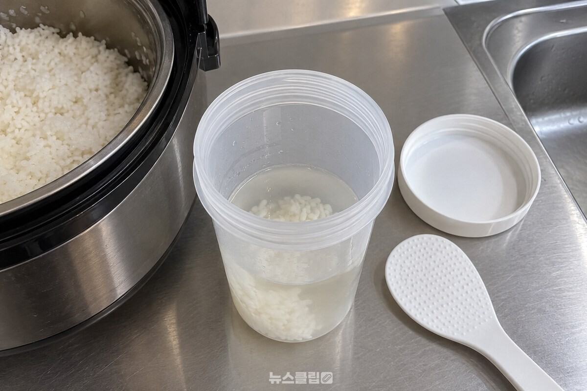 따뜻한 물을 3분의 1쯤 담은 플라스틱 텀블러에 밥 한 숟가락을 넣은 모습. / 기사 이해를 돕기 위한 생성형 이미지