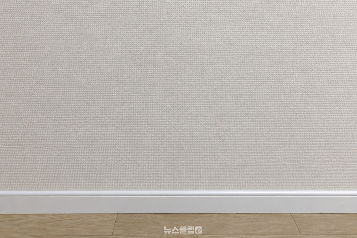 종이 벽지 표면을 마른 상태로 가까이에서 보여 주는 모습. / 기사 이해를 돕기 위한 생성형 이미지