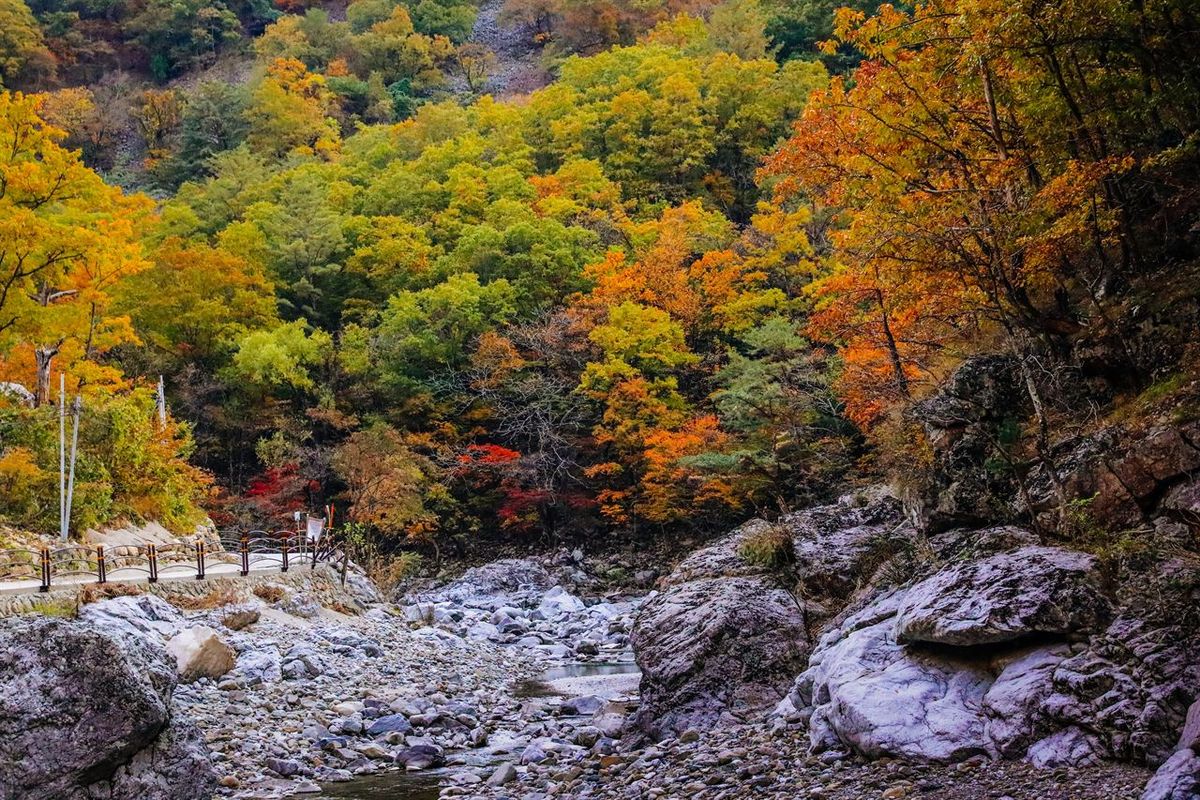 덕풍계곡 / 한국관광공사-강원지사 모먼트스튜디오