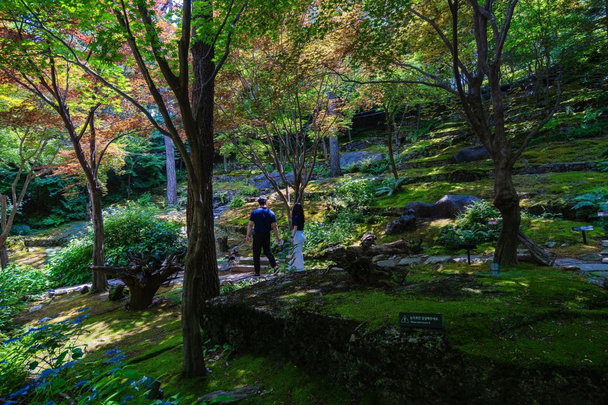 화담숲 / 한국관광공사-김주원
