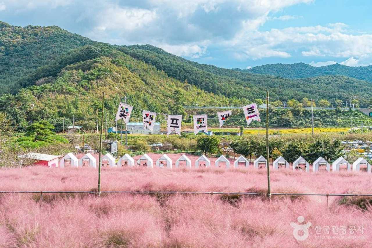이해를 돕기 위한 이미지 / 사진=한국관광공사