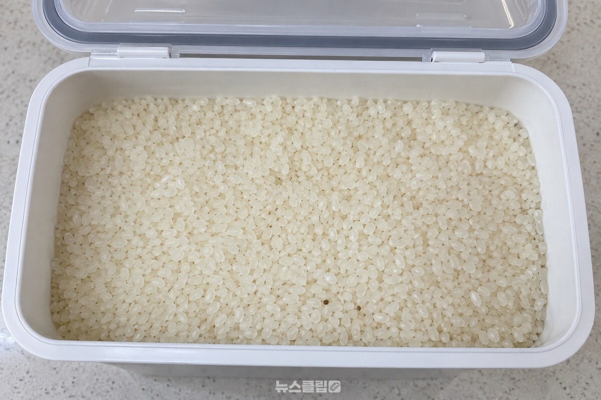 밀폐 쌀통에 담긴 깨끗한 쌀알을 가까이에서 본 모습이다. / 기사 이해를 돕기 위한 생성형 이미지