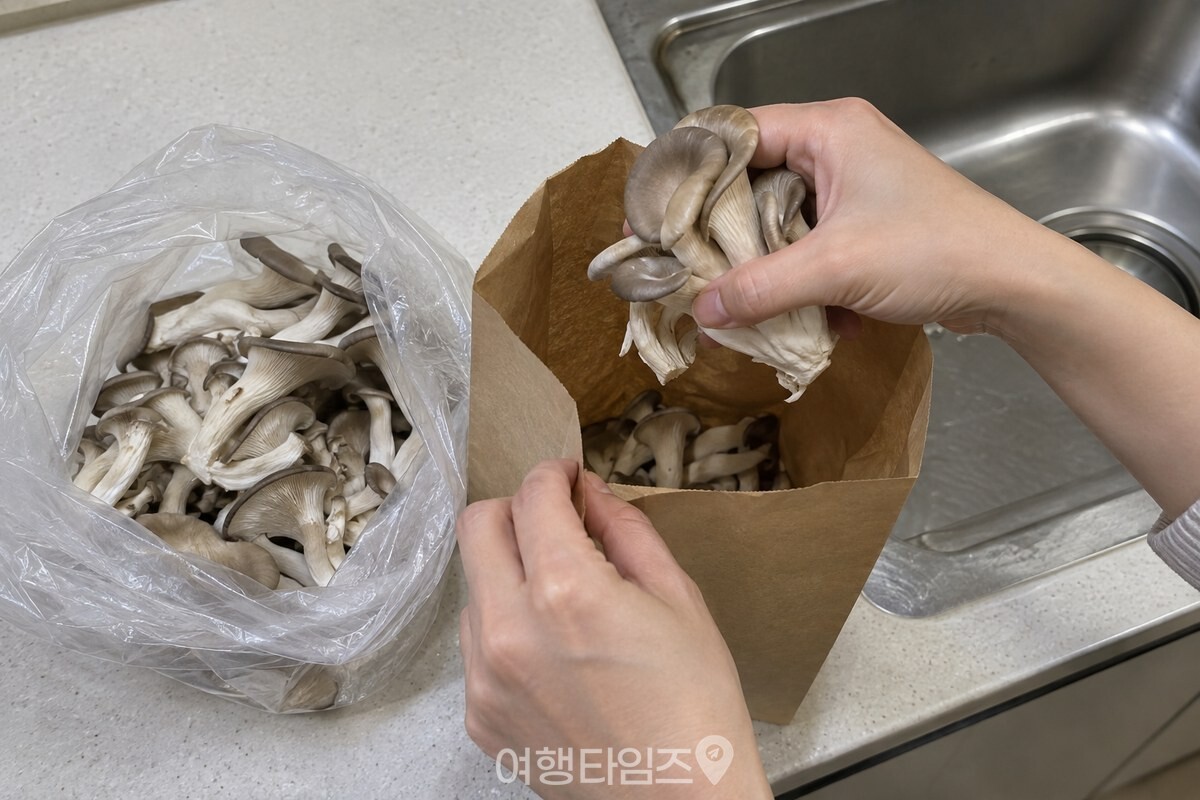 깨끗한 손이 물에 씻지 않은 느타리버섯을 비닐 코팅 없는 종이봉투에 옮겨 담는 모습. / 기사 이해를 돕기 위한 생성형 이미지