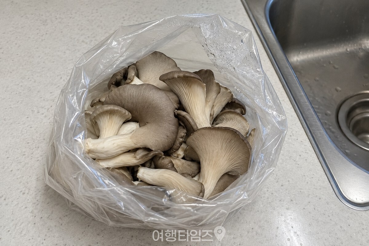투명 비닐봉지 안쪽에 작은 물방울이 맺히고 버섯 표면은 대부분 마른 상태로 보이는 모습. / 기사 이해를 돕기 위한 생성형 이미지