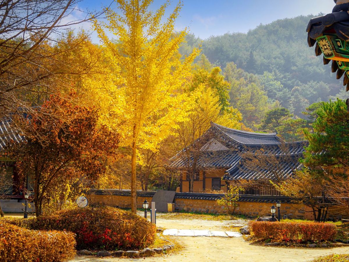 소수서원 / 한국관광공사-앙지뉴 필름