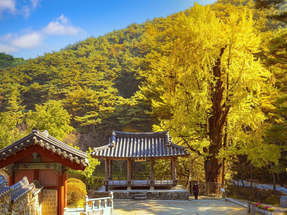 소수서원 / 한국관광공사-앙지뉴 필름