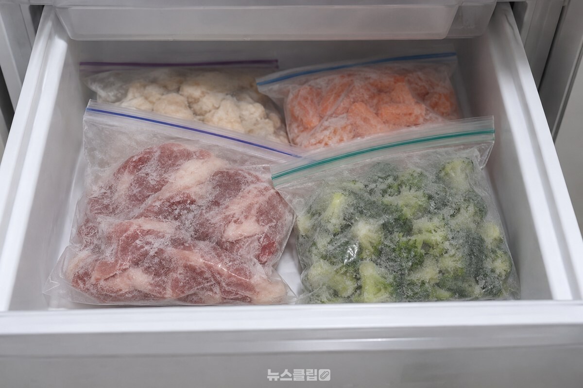 칸막이가 없는 냉동실 서랍에서 지퍼백들이 옆으로 겹쳐 놓여 있다. / 기사 이해를 돕기 위한 생성형 이미지