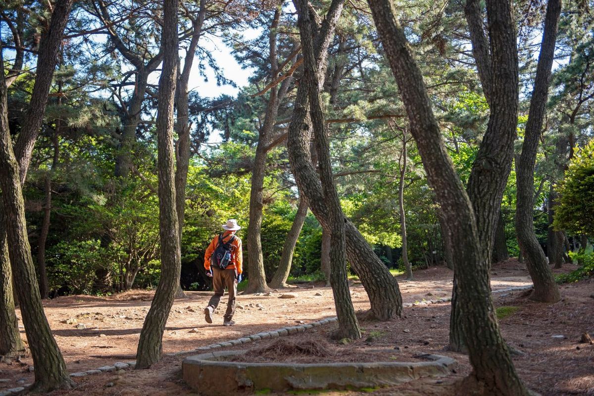 몰운대 산책로 / 한국관광공사-부산관광공사