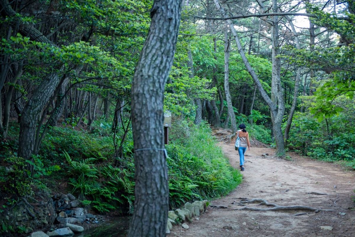 몰운대 산책로 / 한국관광공사-부산관광공사