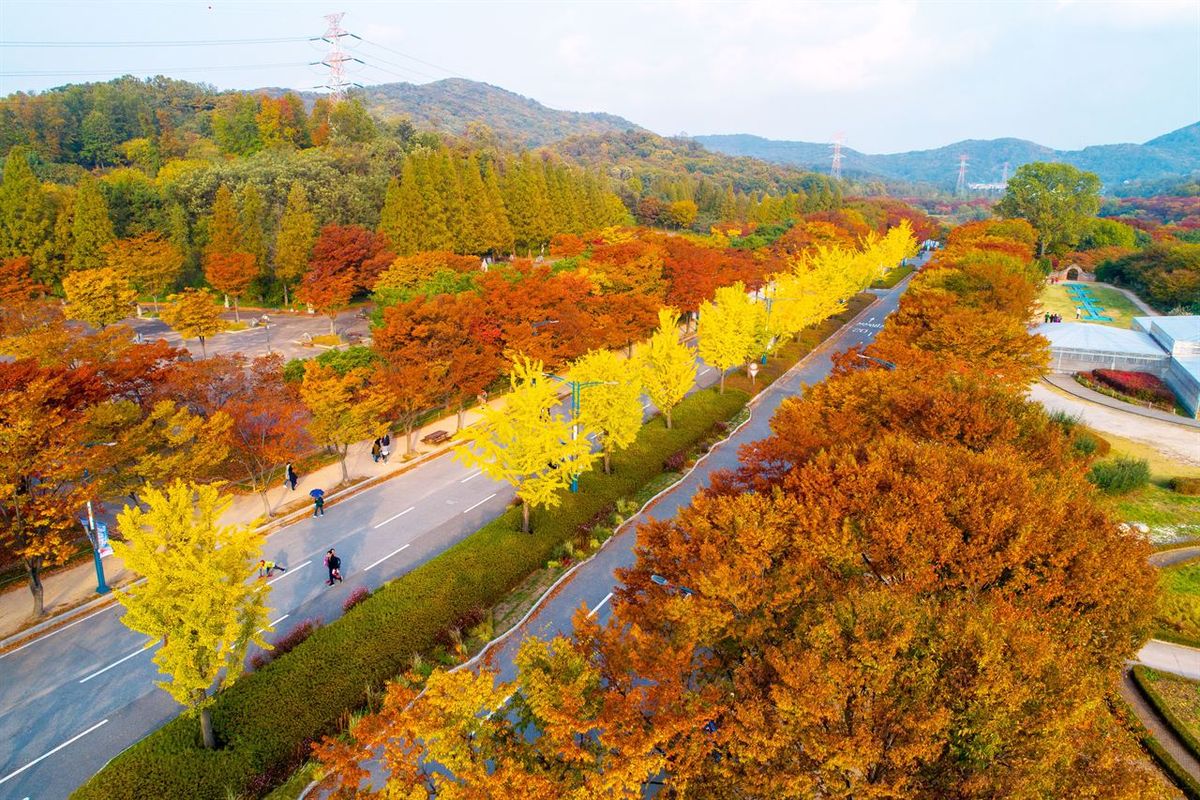 인천대공원 / 한국관광공사-두드림