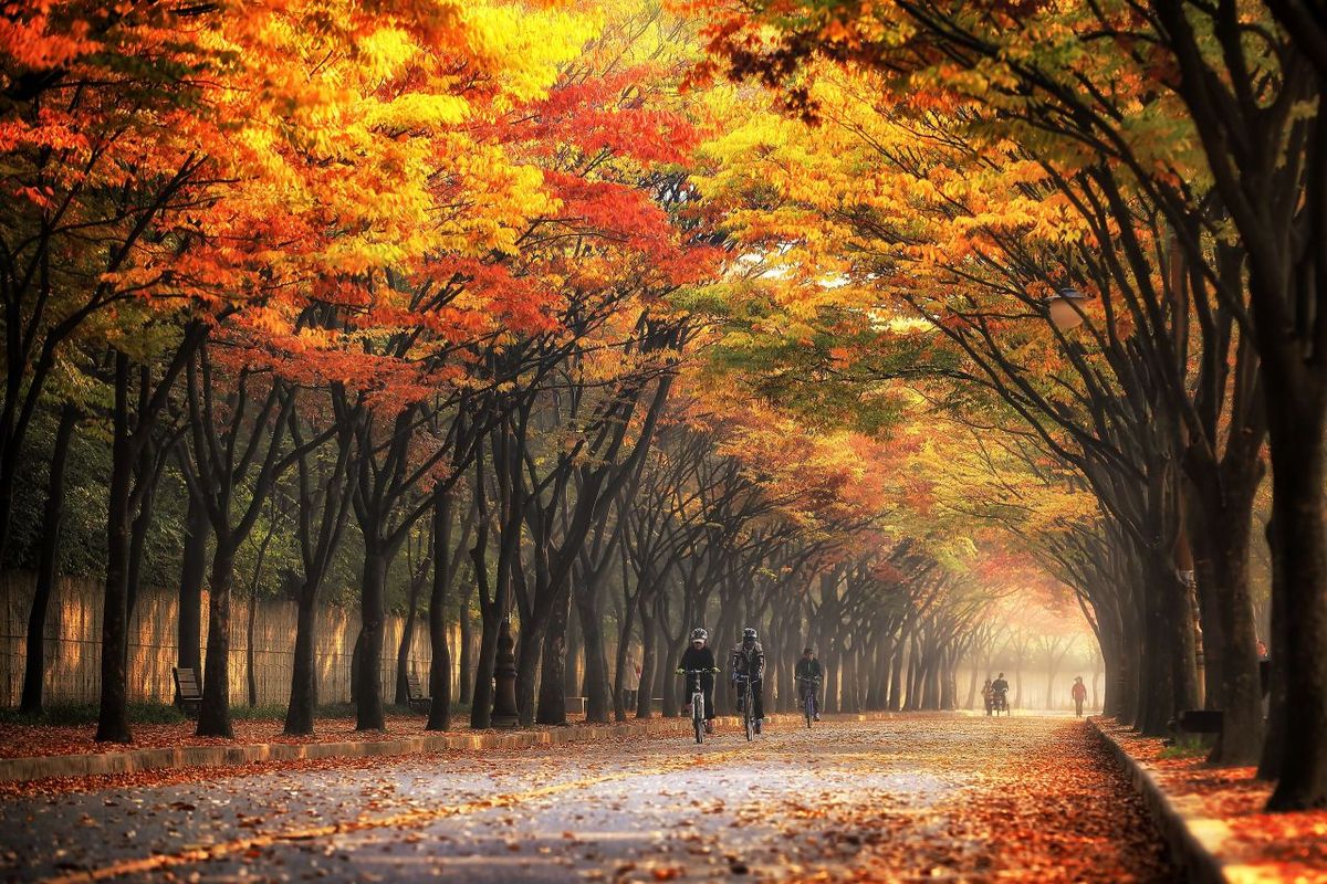 인천대공원 / 한국관광공사-서맹호