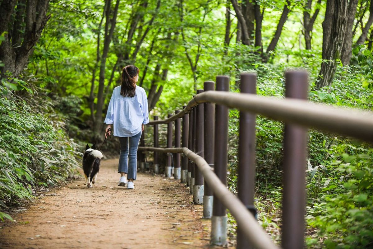 운일암반일암관광지 / 한국관광공사-라이브스튜디오
