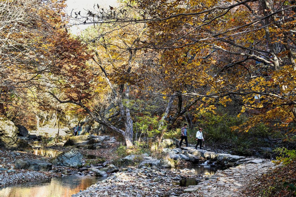 절골협곡 / 한국관광공사-김지호