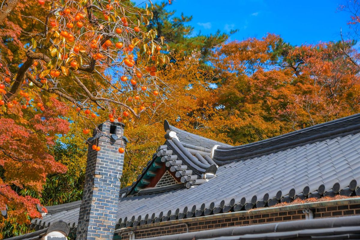 불국사 / 한국관광공사-두드림