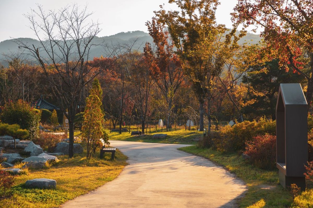 경북천년숲정원 / 한국관광공사-박장용