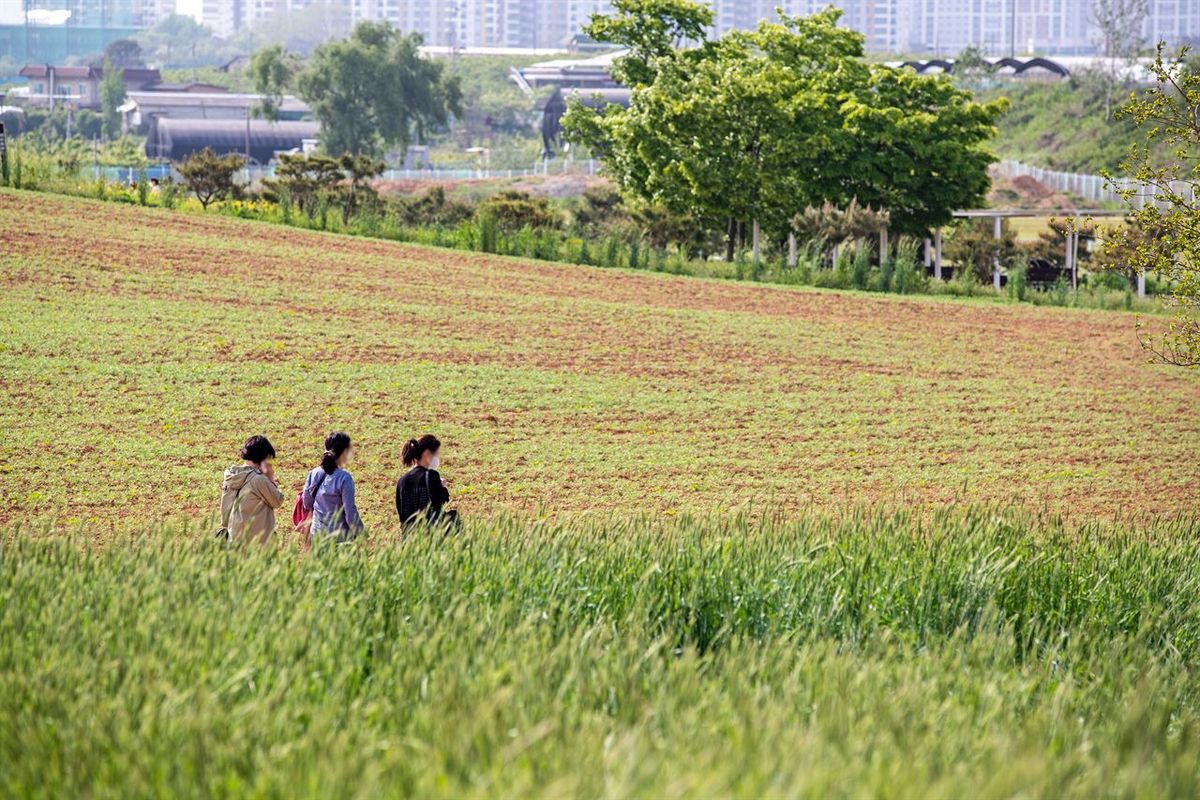 안성팜랜드 / 한국관광공사-이범수