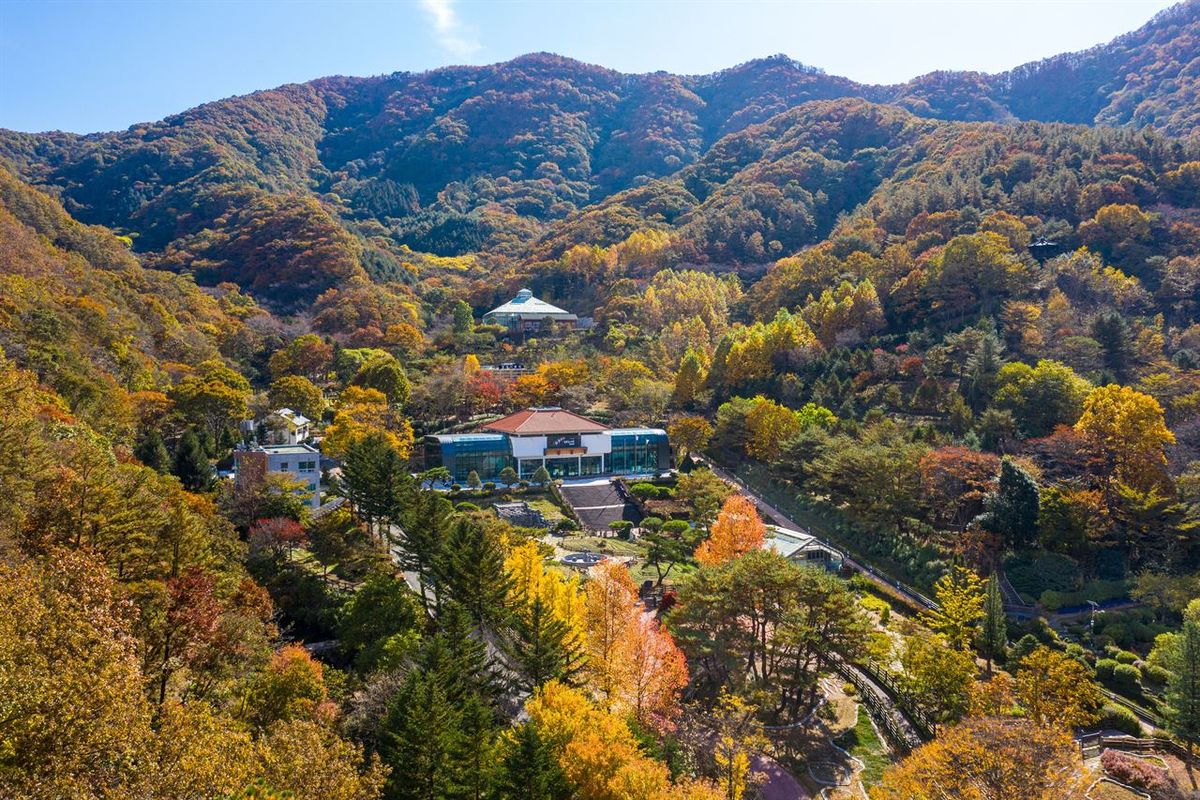 대아수목원 / 한국관광공사-김지호