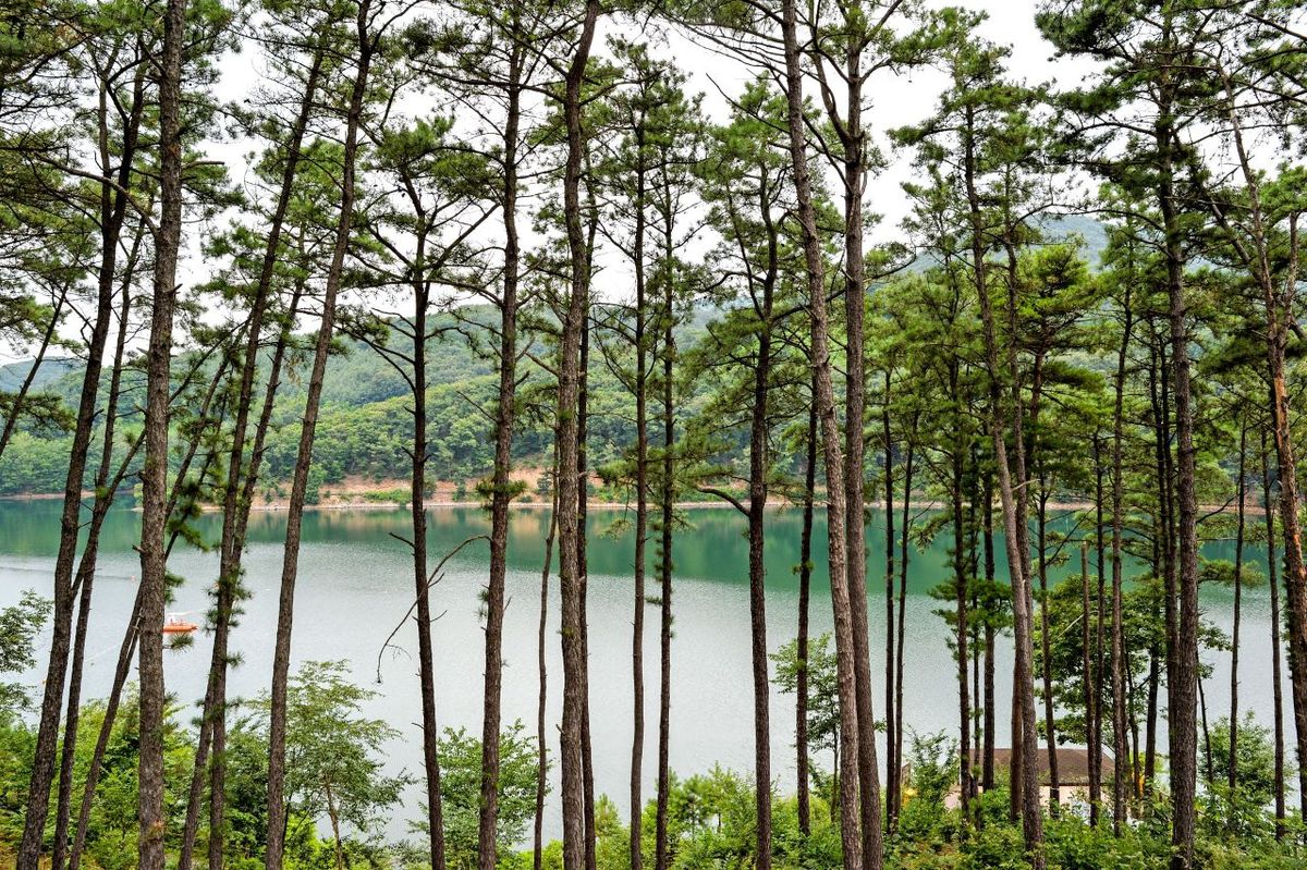 마장호수 출렁다리 / 한국관광공사-송재근