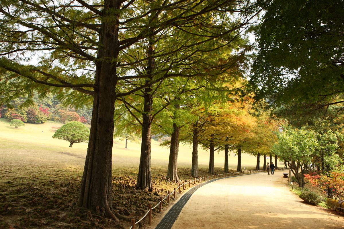 청남대 / 한국관광공사-김지호