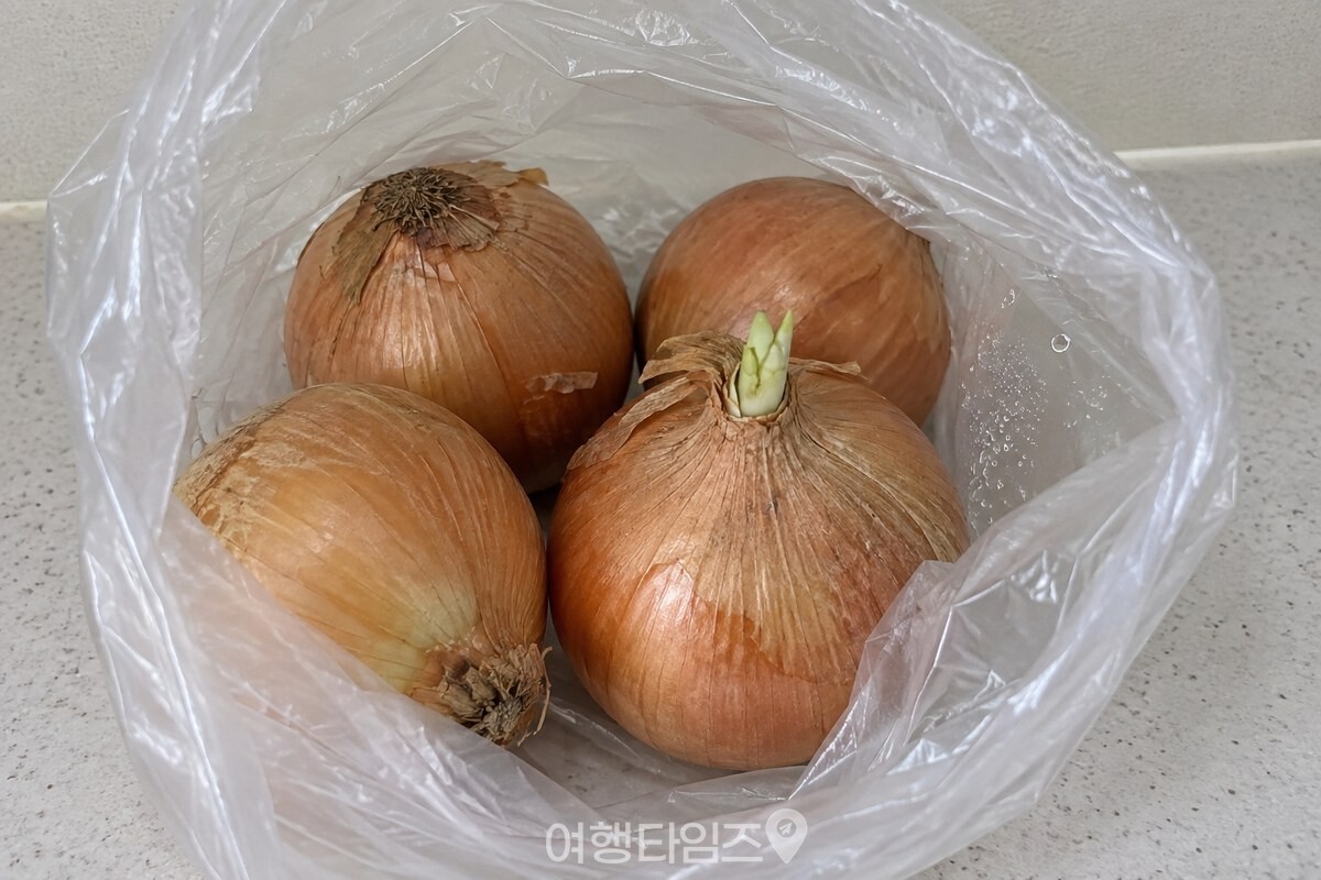 투명 비닐봉지 안쪽에 작은 물방울이 맺혀 있고 양파 한 개의 윗부분에 짧은 싹이 보인다. / 기사 이해를 돕기 위한 생성형 이미지
