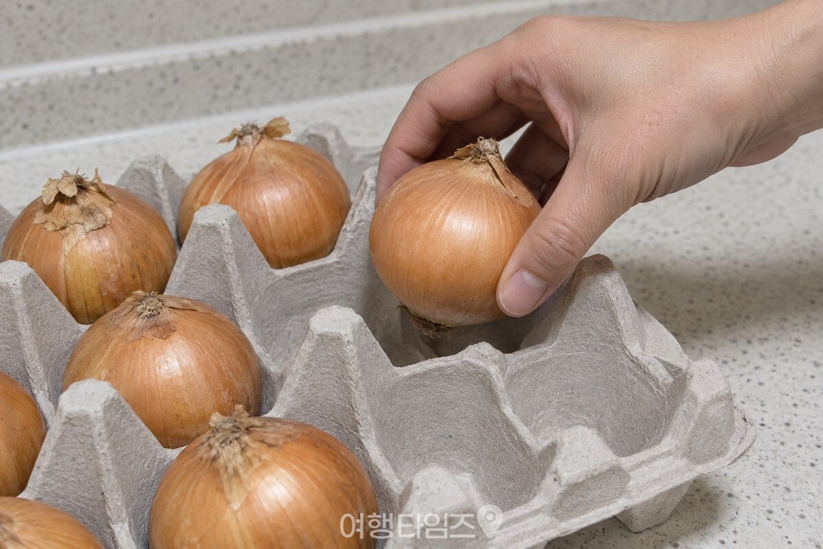 깨끗한 손이 양파 한 개를 뿌리 쪽이 아래로 향하도록 종이 계란판 칸에 올리고 있다. / 기사 이해를 돕기 위한 생성형 이미지