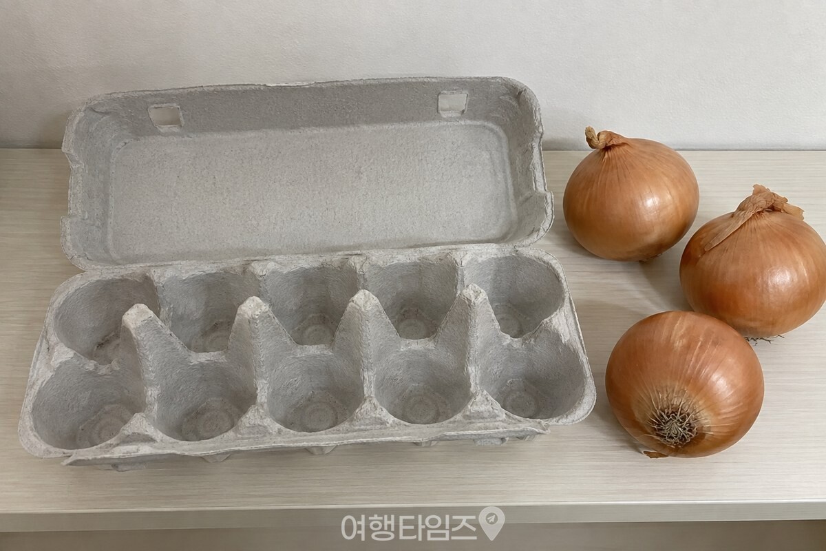 마른 종이 계란판과 단단한 양파를 보관 준비물로 놓은 장면이다. / 기사 이해를 돕기 위한 생성형 이미지