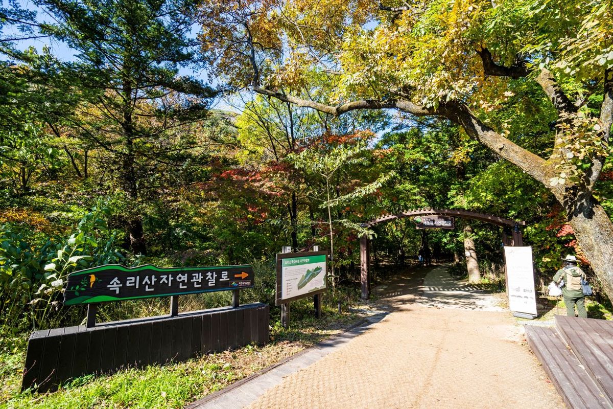 보은 법주사 / 한국관광공사-이범수