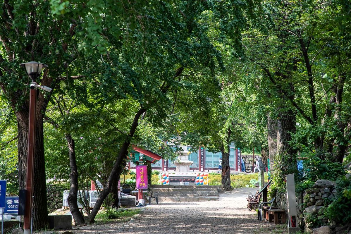 공주 신원사 / 한국관광공사-이범수