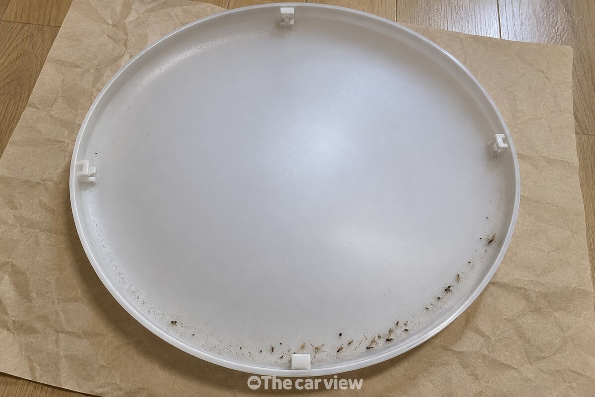 분리한 반투명 전등 커버 안쪽 바닥 가장자리에 작은 벌레 사체와 먼지가 얇게 모여 있는 모습. / 기사 이해를 돕기 위한 생성형 이미지