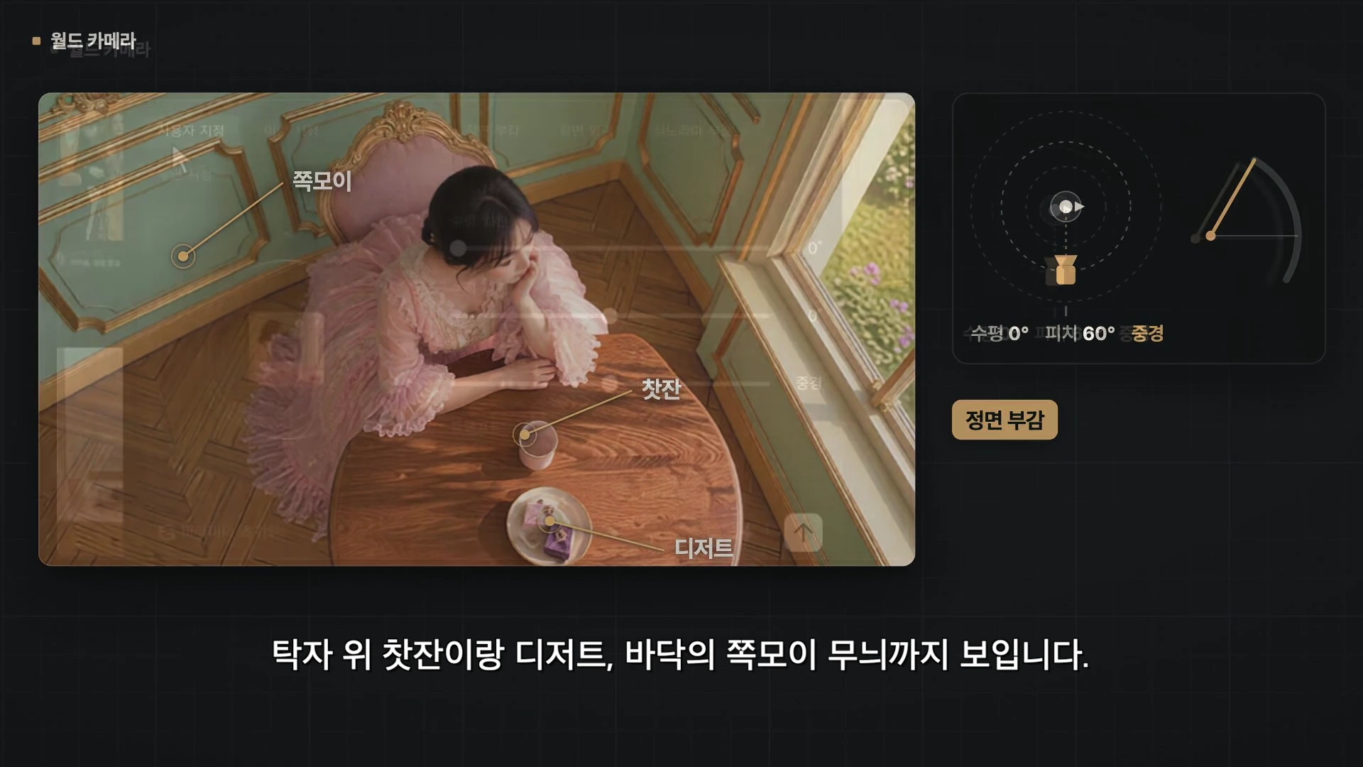 소프트웨어 인터페이스 화면으로, 왼쪽에 여성이 앉아 있는 모습이 부감 샷으로 보이고 오른쪽에는 월드 카메라 조작을 위한 공 모양의 각도 편집기와 설정 정보가 표시되어 있습니다.