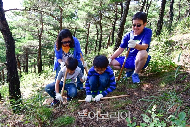 양양송이축제/사진-양양군